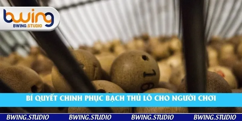 Bí quyết chinh phục bạch thủ lô cho người chơi
