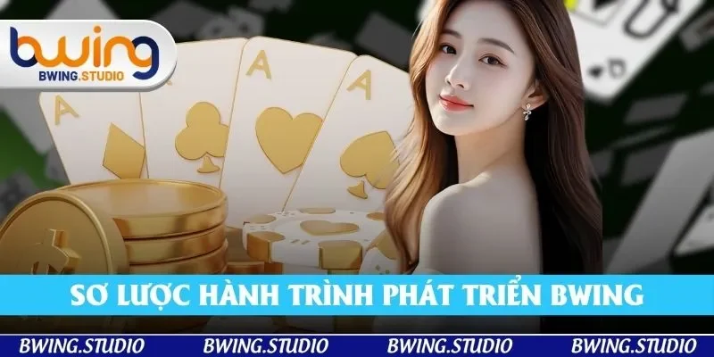 Nhìn lại những bước tiến của thương hiệu BWing Nhìn lại những bước tiến của thương hiệu BWing