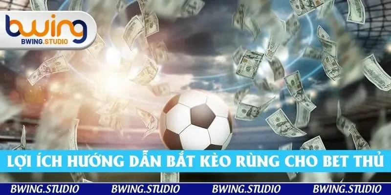 Lợi ích hướng dẫn bắt kèo rùng cho bet thủ
