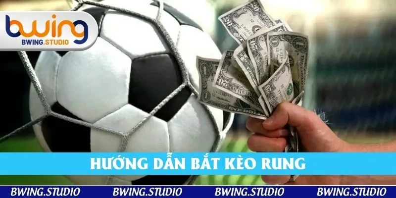 Hướng Dẫn Bắt Kèo Rung Tại Bwing - Tân Thủ Chơi Như Cao Thủ