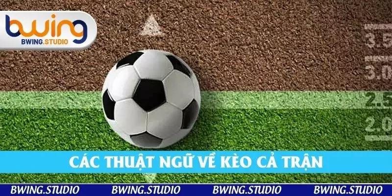 Các thuật ngữ về kèo liên quan đến cược cả trận Các thuật ngữ về kèo liên quan đến cược cả trận