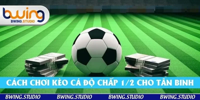 Các cách chơi kèo cá độ chấp 1/2 cho tân binh Các cách chơi kèo cá độ chấp 1/2 cho tân binh