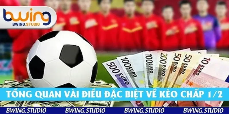 Tổng quan vài điều đặc biệt về kèo chấp 1/2 Tổng quan vài điều đặc biệt về kèo chấp 1/2