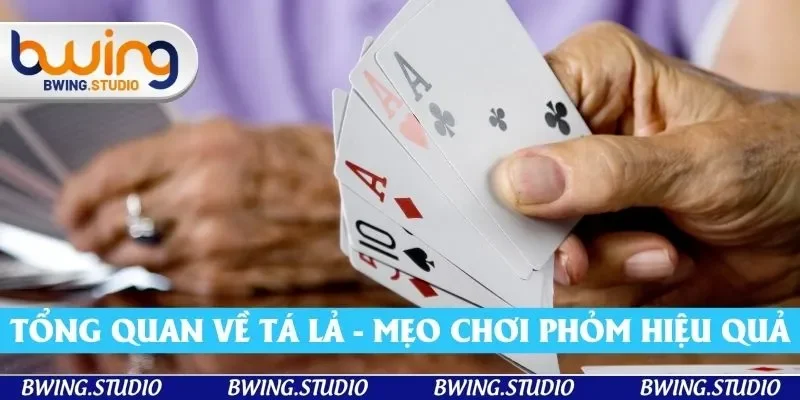 Tổng quan về Tá lả